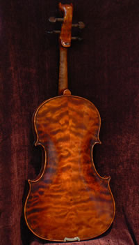 Back of violin