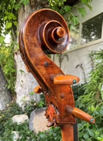 The Autumn Leaf Cello