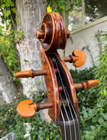 The Autumn Leaf Cello