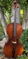 The Autumn Leaf Cello